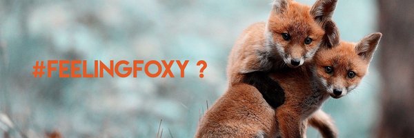 Agence FOXY Profile Banner