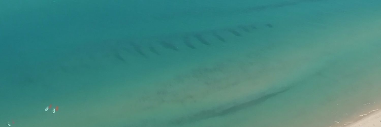 Tiaradicorsica's profile banner image