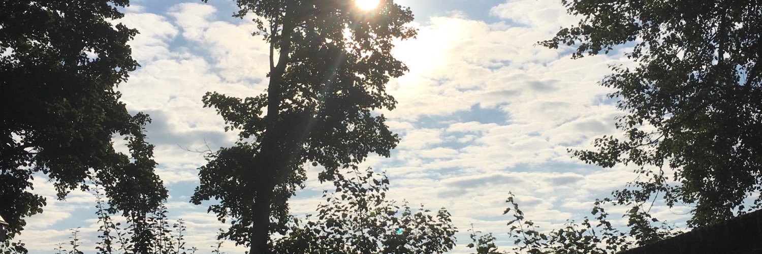 denosjoursfous's profile banner image