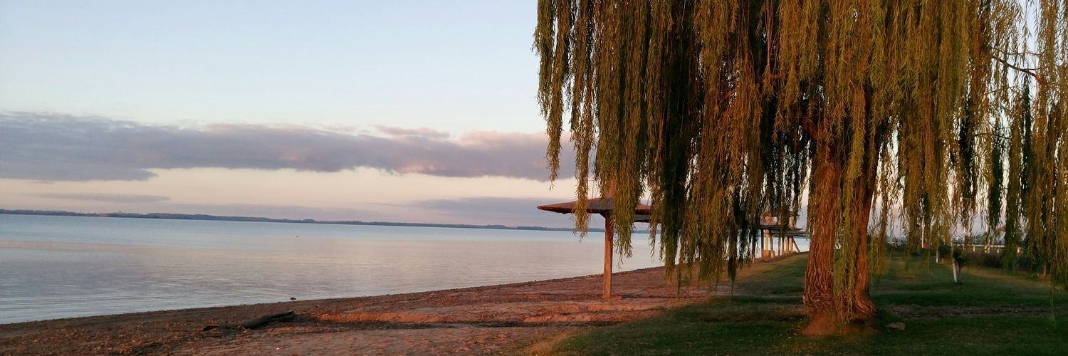 cbordagaray's profile banner image