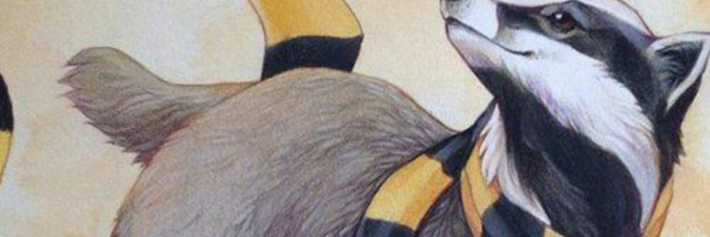 shopsoymel's profile banner image