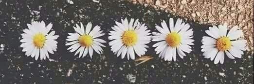 ไม่ไหวบอกไหว banner