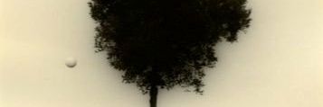 houseofcox74's profile banner image