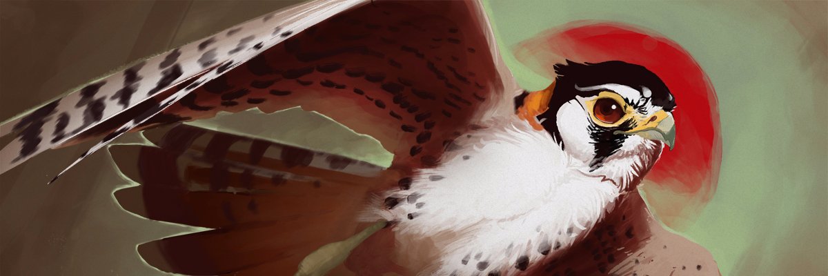 Bombird banner