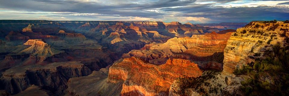 ทicк нσєƒƒℓєr banner