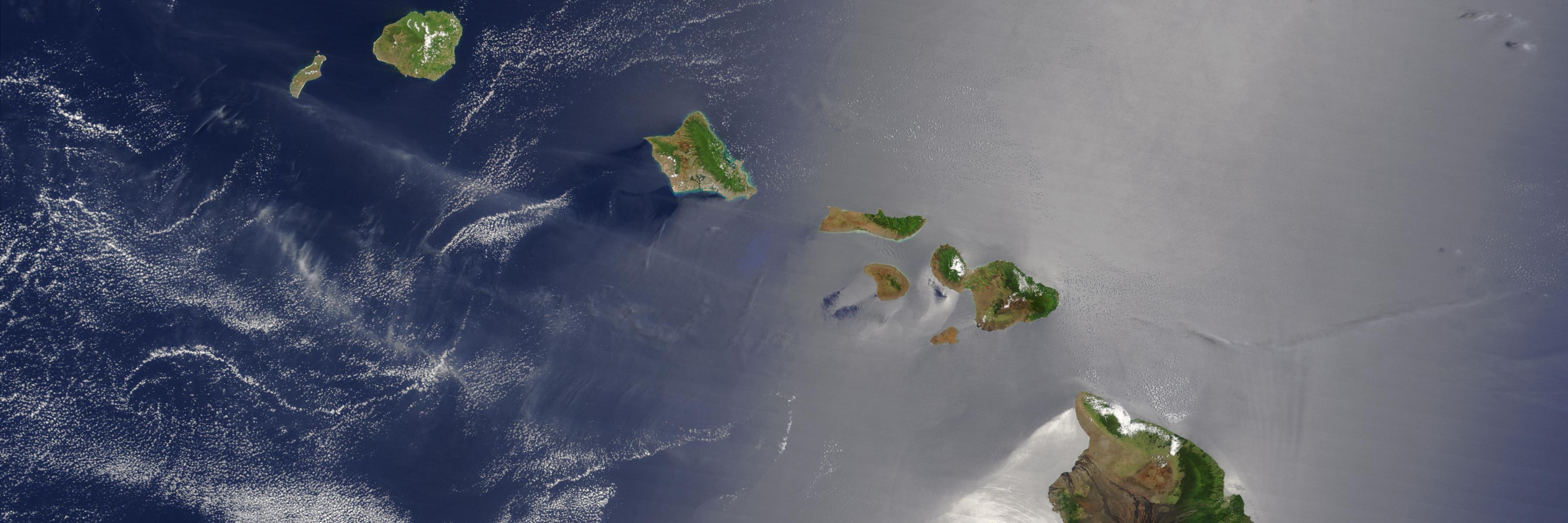 Kelli_Hawaii's profile banner image
