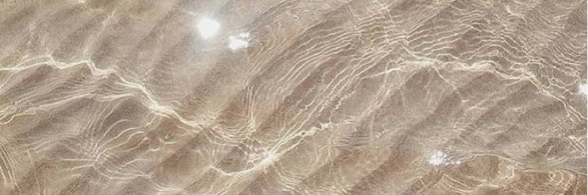 ALPHA CHI OMEGA banner