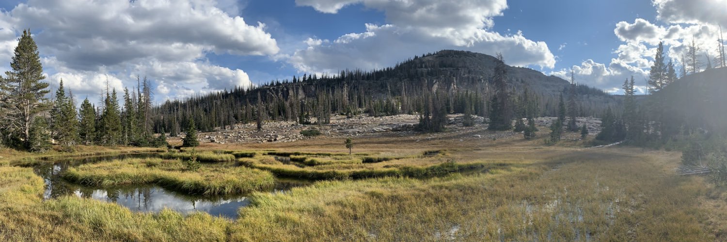 Dr. Nick Purcell, PT banner