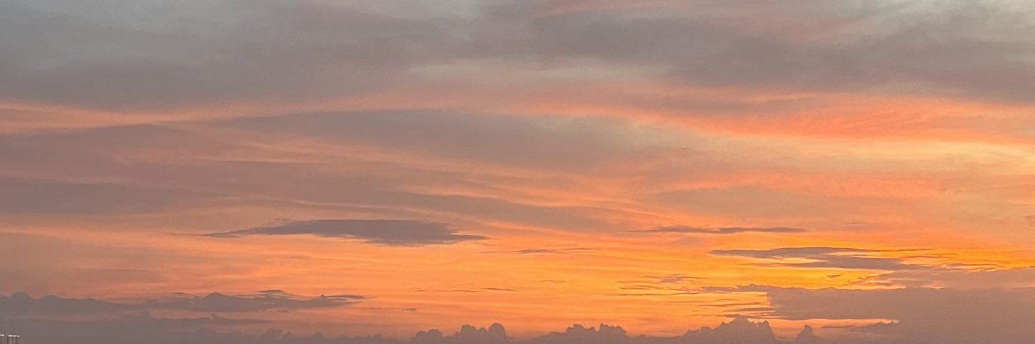 cindysuw's profile banner image