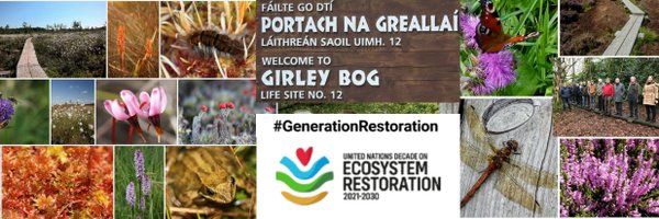 GirleyBog Profile Banner