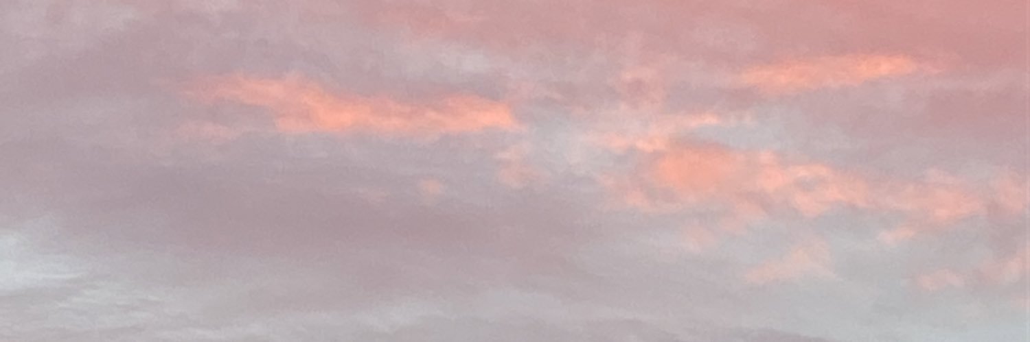d_piovesan4's profile banner image