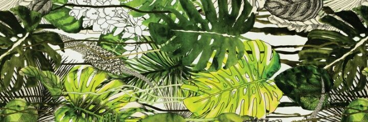 SuperFlySalas's profile banner image