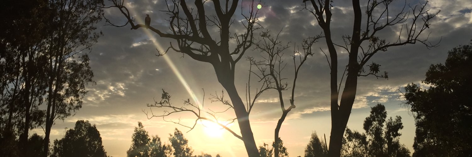 Samhabecious's profile banner image