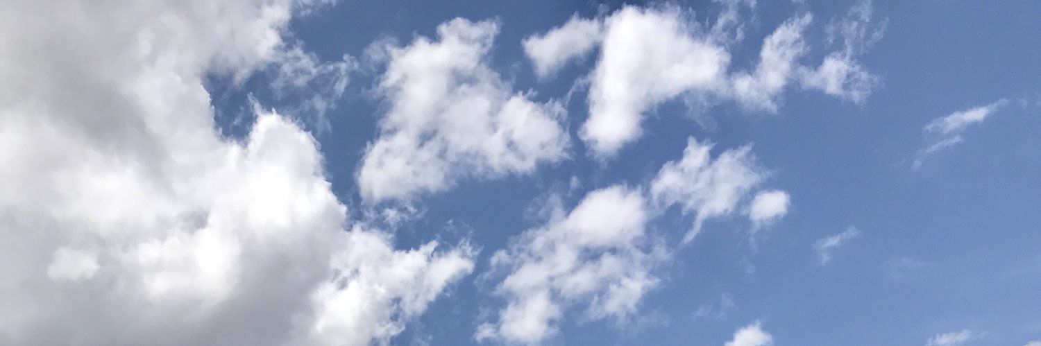 baharmerall's profile banner image