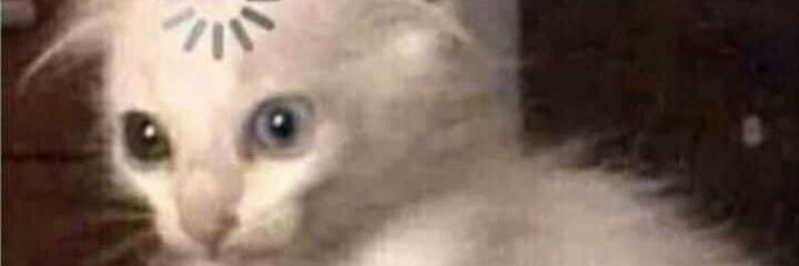 juligommes's profile banner image