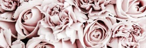 g_jmz's profile banner image