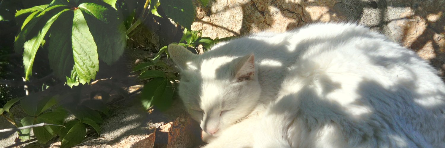 burcu k. banner