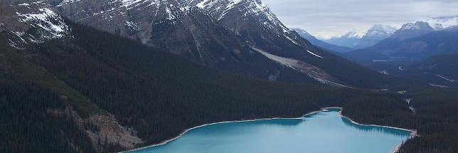 Infinitylifeca's profile banner image