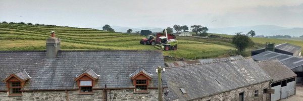 DwynwenS Profile Banner