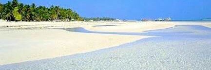 dennis valdez banner