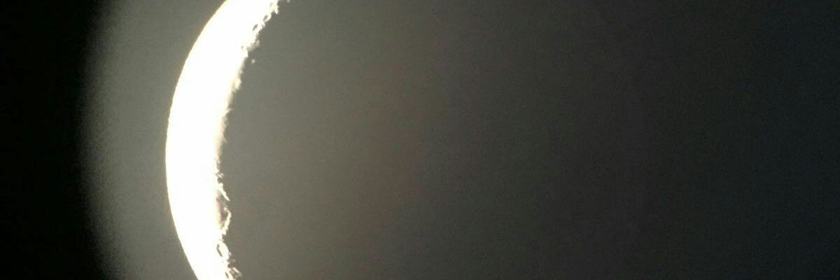 Elisa banner