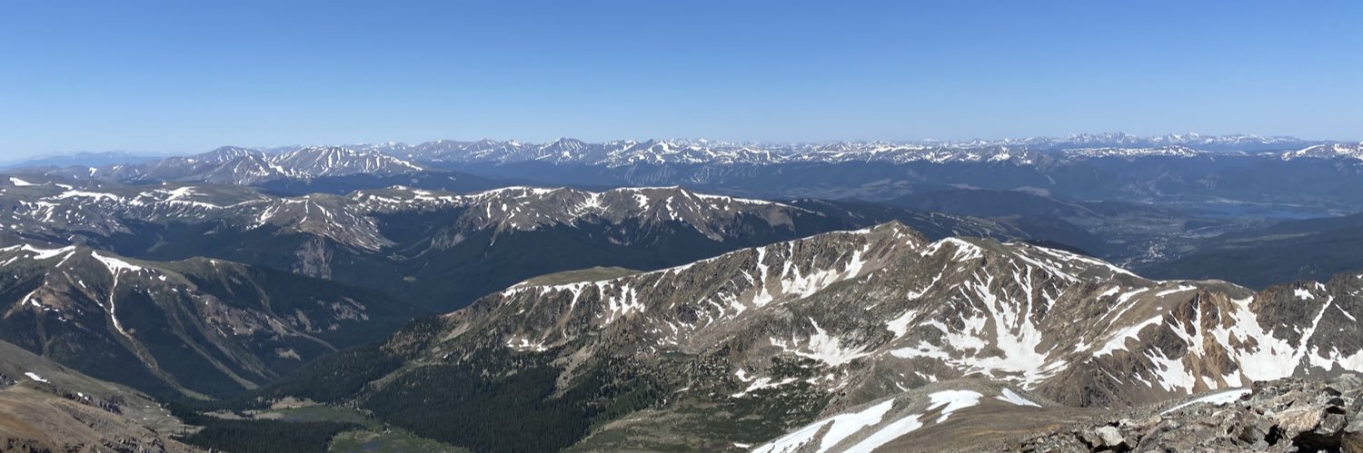 Alli Palmatier banner