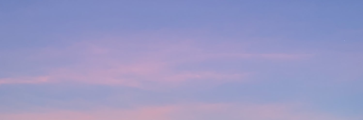 manuelaree_'s profile banner image