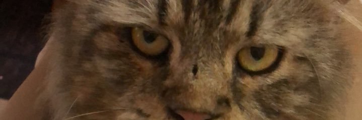 gantzcry's profile banner image