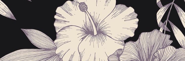 Daiimi's profile banner image