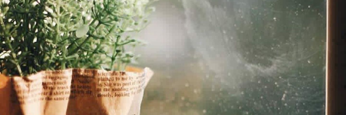 foofa6734's profile banner image