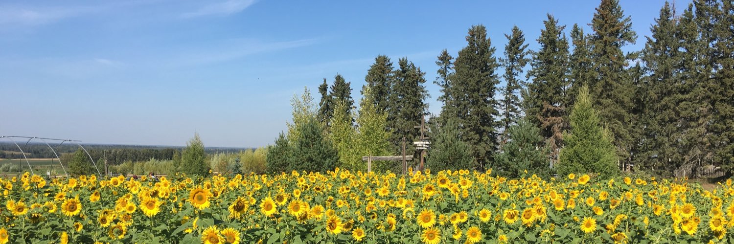 ReedHimsl's profile banner image