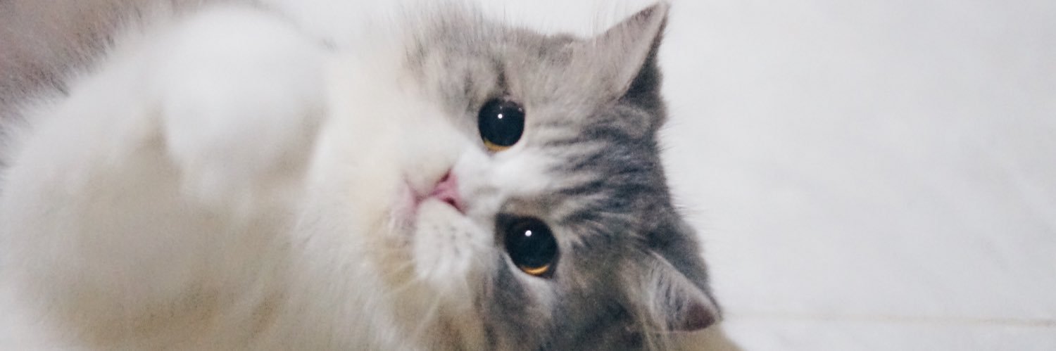 fatachichwan's profile banner image