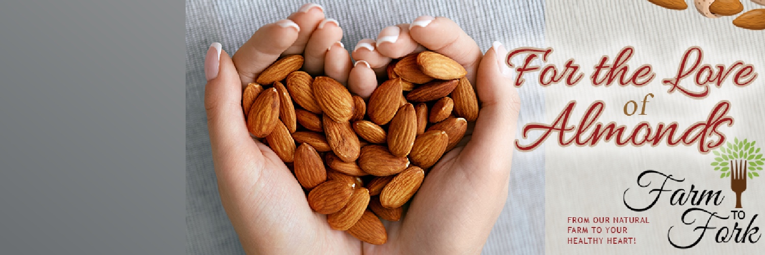 Sierra Valley Almonds banner