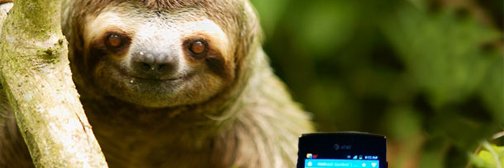 phonesloth's profile banner image