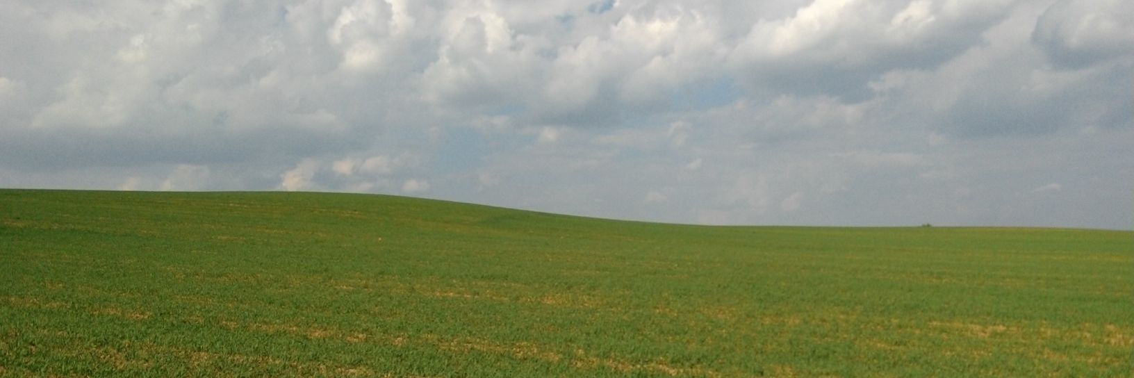 dimka_716's profile banner image