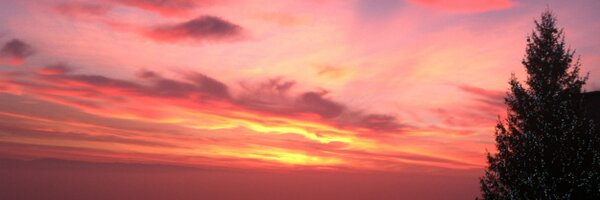 DHeck99 Profile Banner