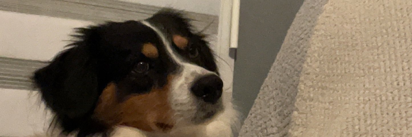 elisewlt's profile banner image