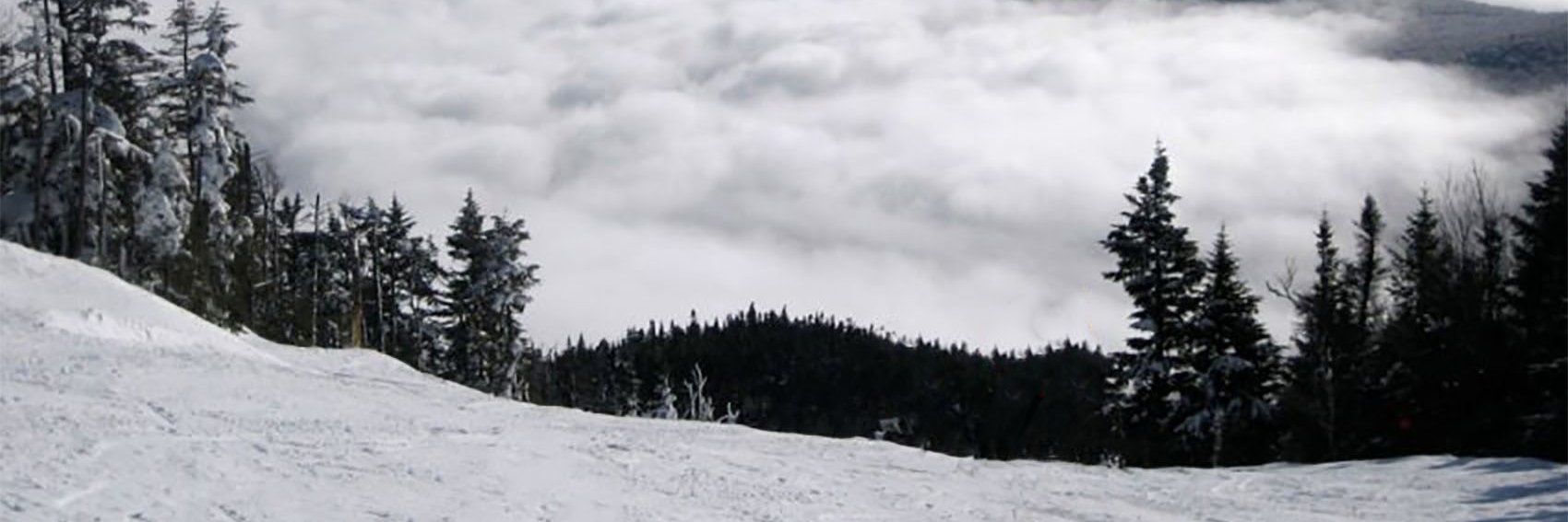 Joe Kennedy banner