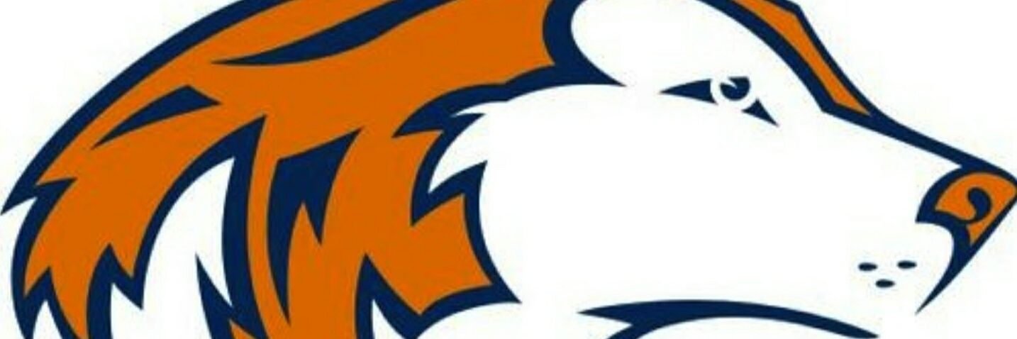 beneg23's profile banner image
