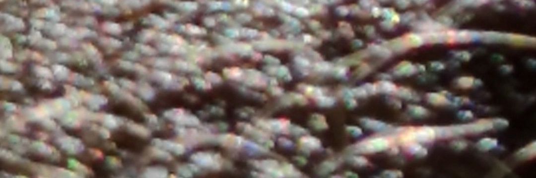 billyverdasca's profile banner image
