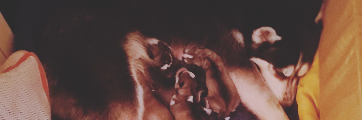 Unique_KrepTiK's profile banner image