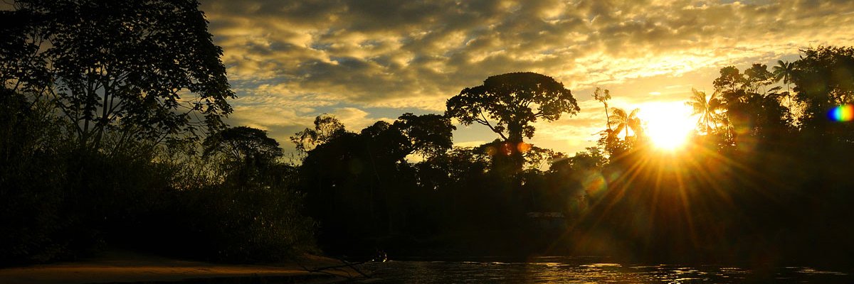 Ocenilda's profile banner image