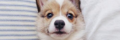 emelysworld's profile banner image