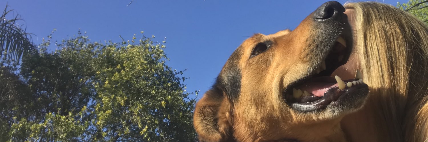 luudmisykora's profile banner image