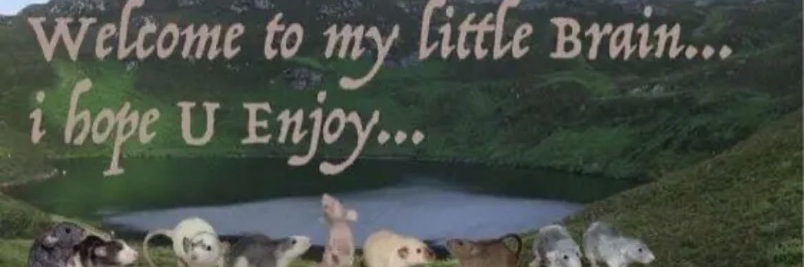 emxgrrrl's profile banner image