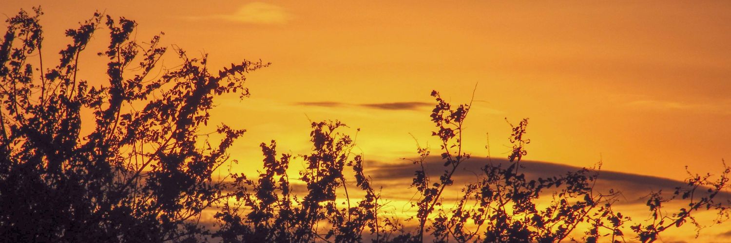 gladyhel's profile banner image