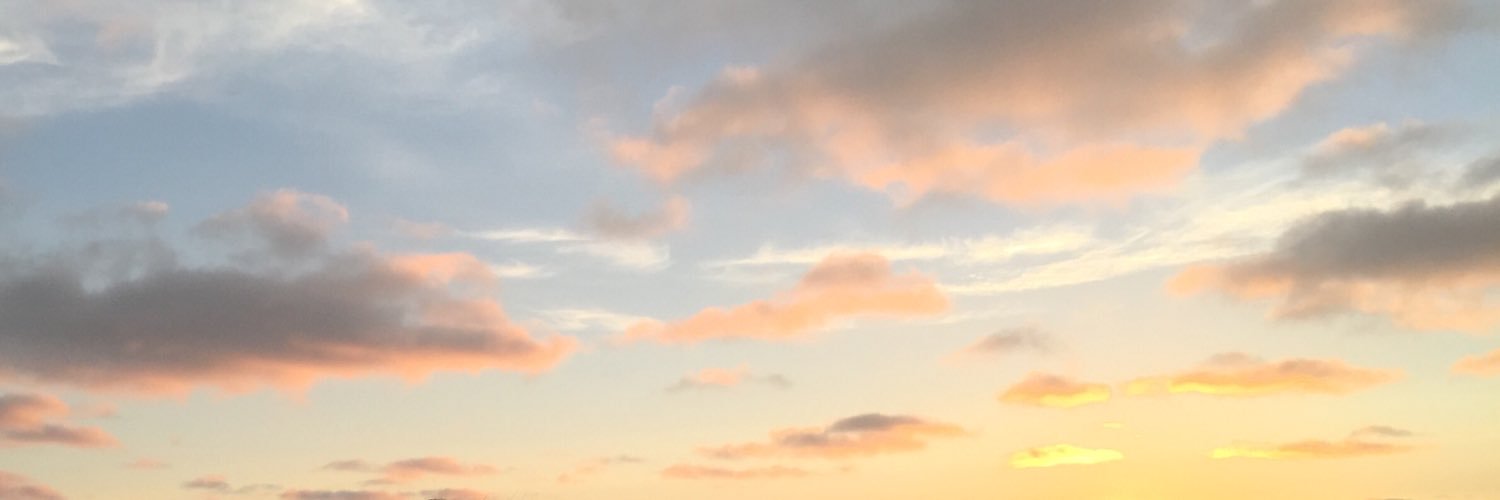 wtlong13's profile banner image