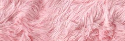 sofiavalpreda's profile banner image