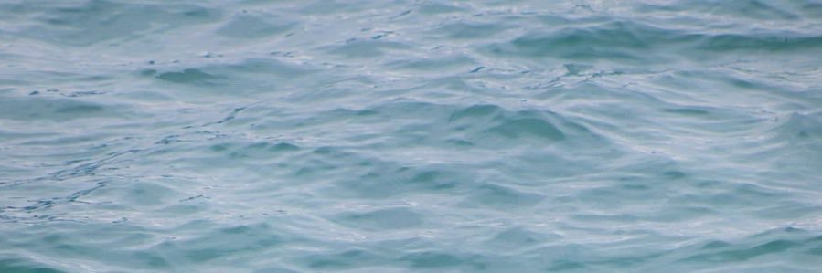 daniitatoc's profile banner image