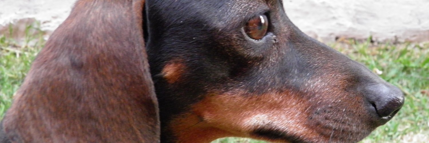 Monn_Ruiz's profile banner image